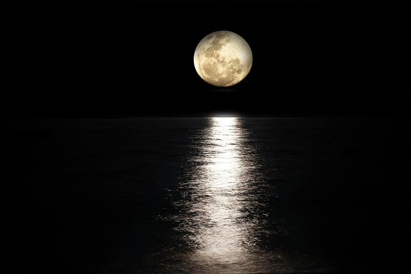 Moonlit RSVPs